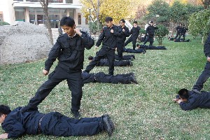 山东法院书记员招聘